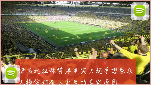 伊戈达拉称赞库里实力超乎想象众人模仿却难以企及的真实原因